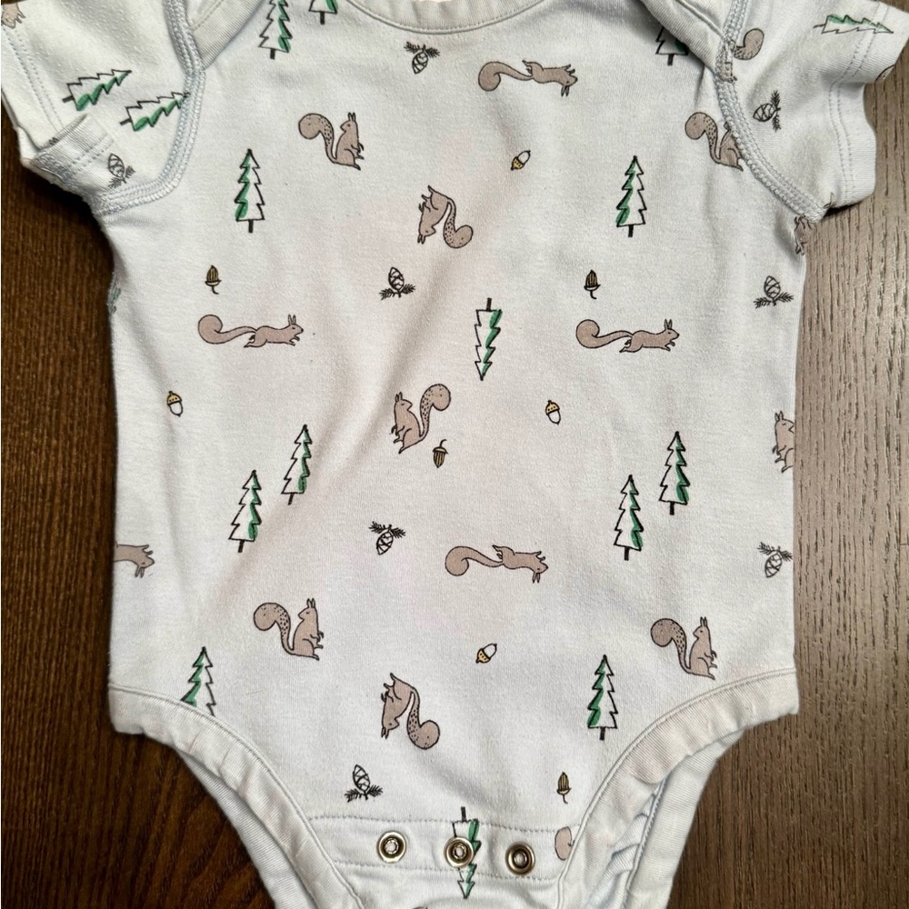 Hanna Andersson White Bodysuit with Nature Print